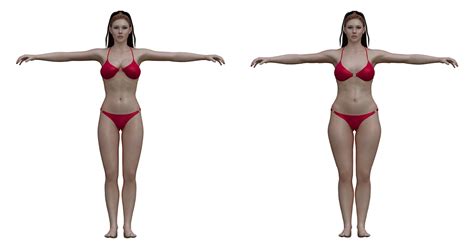 ideal to real what the perfect body really looks like for men and women