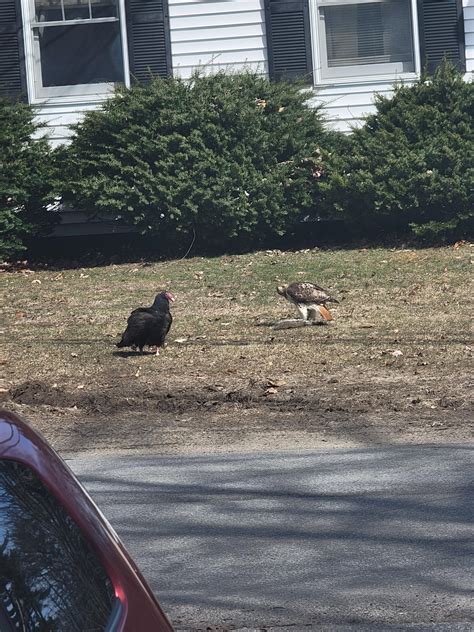 89 best Concord Nh images on Pholder | Newhampshire, Sanders For