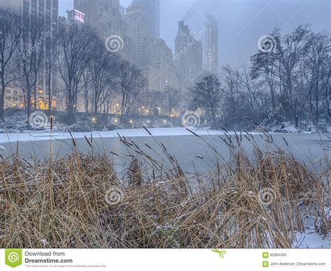 Central Park New York City Snow Storm Stock Photo Image Of Landscape
