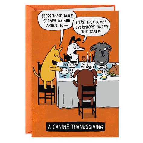 Doggone Happy Dog Feast Funny Thanksgiving Card Greeting Cards Hallmark