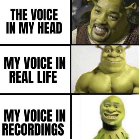 Voices In My Head R Memes