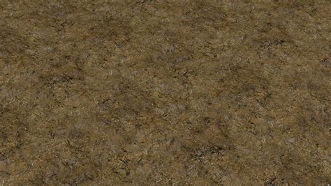 Forest Floor 01 Photoscanned Seamless Texture Free Texture Cgtrader