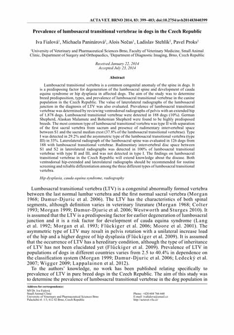 (PDF) Prevalence of lumbosacral transitional vertebrae in ...