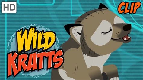 Wild Kratts Wolf Power | atelier-yuwa.ciao.jp