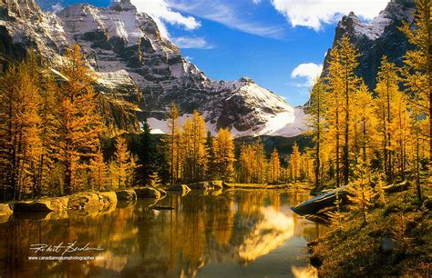 The Canadian Nature Photographer Canadian Rockies Portfolio By Robert