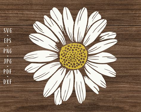 Daisy Clipart Daisy PNG Daisy SVG Floral Svg Designs Flower Clipart