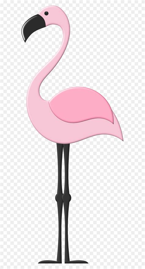 Flamingos Clipart Free Download Best Flamingos Clipart