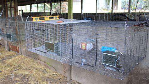 How To Build A Indoor Rabbit Cage Kobo Building