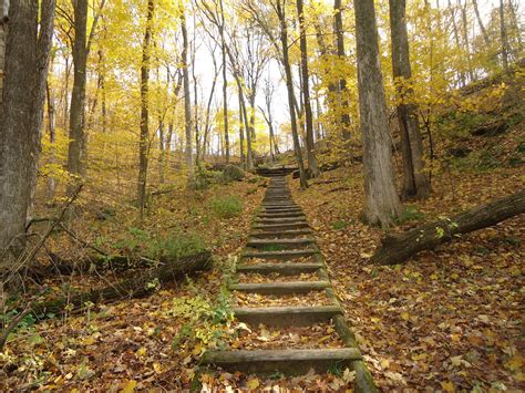 Steps On The Hiking Trail In Govenor Dodge State Park Wisconsin Image