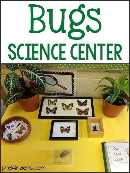 Bugs Science Center Artofit
