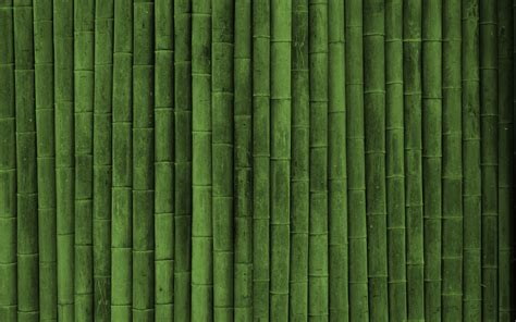Скачать текстуру в высоком разрешении зеленый бамбук текстура бамбука