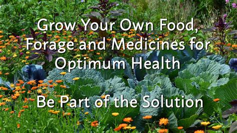 Grow Your Own Food Forage And Medicines For Optimum Health Be Part