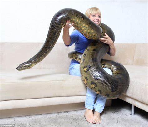 Beautiful Wife With Horrifying Snake Man Telegraph