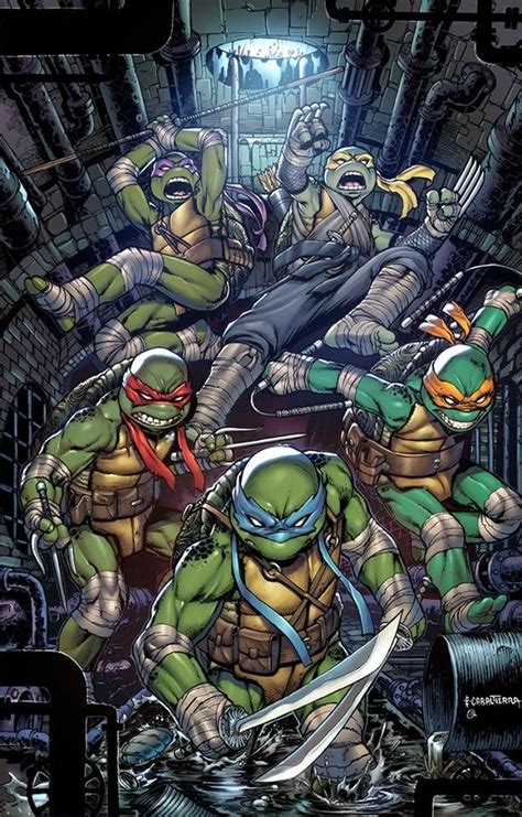 Thundercats Comic Books Art Comic Art Teenage Mutant Ninja Turtles