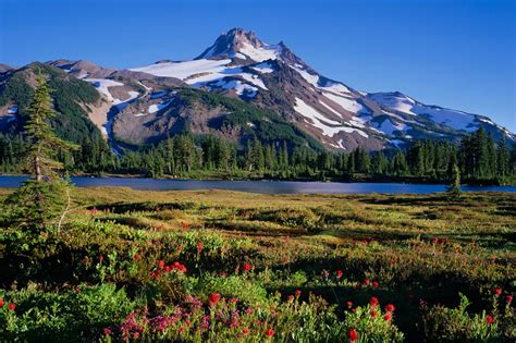 Jefferson Park Oregon Cascades Mike Putnam Photography