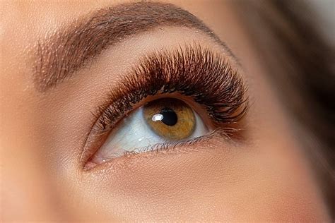 brown eyelash extensions the new trend brown vs black lashes