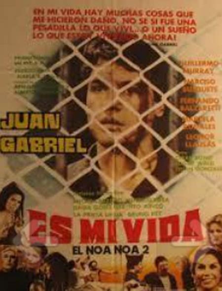 Es Mi Vida 1982 Juan Gabriel Identi