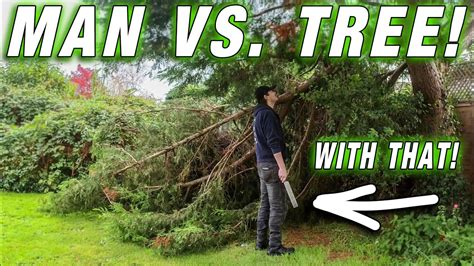Man Vs Tree With Hand Tools A Lesson In Determination Youtube