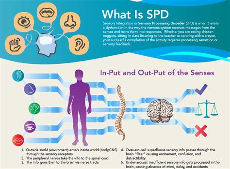 Sensory Processing Disorder Infographic Discusses What Is Sensory