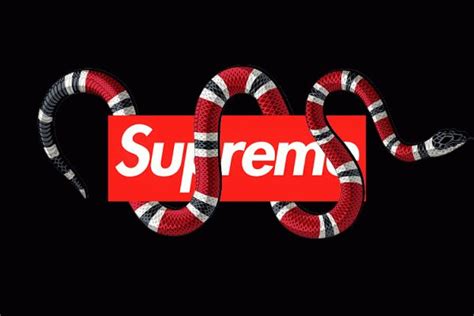 Multiple sizes available for all screen sizes. Supreme Gucci Wallpapers - Top Free Supreme Gucci ...