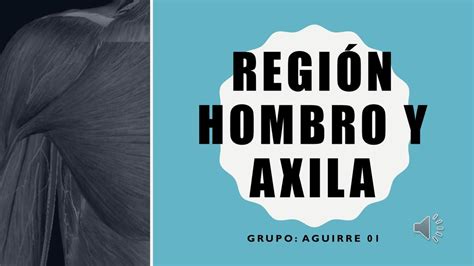 Región Hombro y Axila Tiroxina Med uDocz