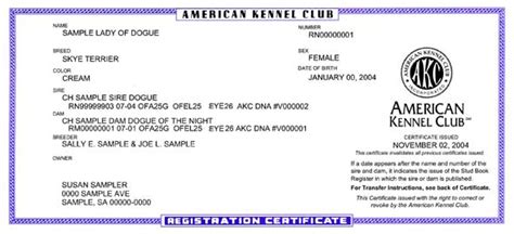 Registration Certificate American Kennel Club