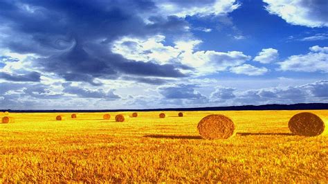 46 Hay Bale Wallpaper Wallpapersafari