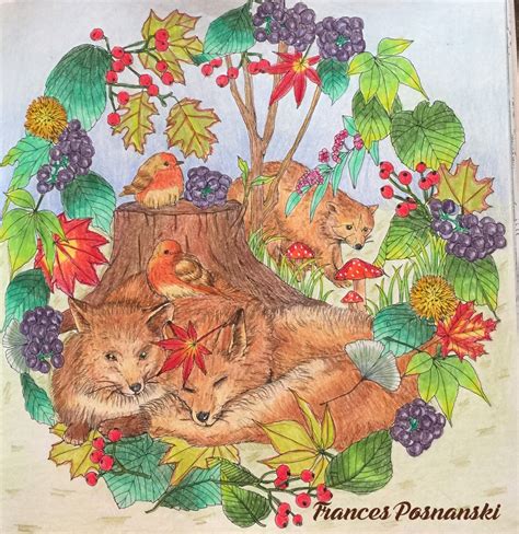 You might like to check out our review of enchanted forest by johanna basford at coloringqueen.net #johannabasford #enchantedforest. Pin by michelle c on Coloring Rapsody | Enchanted forest ...