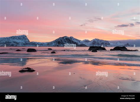 Sunset On Haukland Beach Lofoten Norway Snowy Mountains And Rocks In