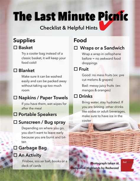National Picnic Day Ideas How To Pack A Picnic Lunch Picnic Date Food Picnic Snacks
