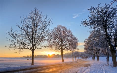 Germany Winter Snow Landscape Road Trees Dawn Sunrise Wallpaper