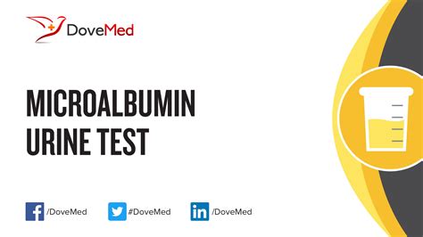 Microalbumin Urine Test