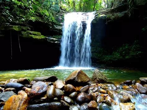 Cachoeira Do Robertão Barra Mansa Rj Waterfall Around The Worlds