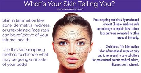Face Mapping What Your Breakouts Are Telling You About Your Health
