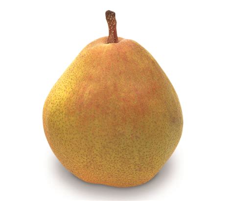 Comice Pears Cmi Apples