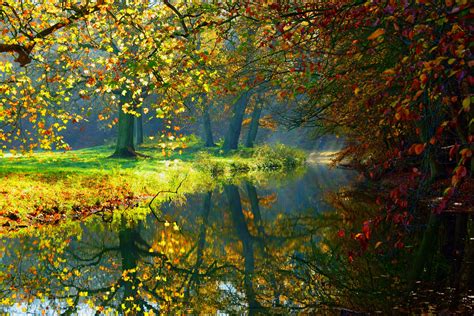 Landscape Nature Autumn Forest Trees River Reflection Wallpapers HD Desktop And Mobile