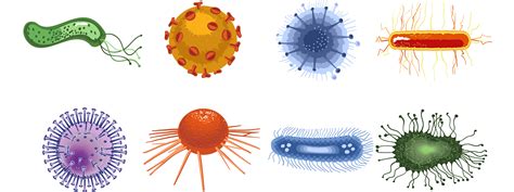 Whats The Difference Between Bacteria And Viruses Institute For Hot