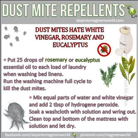 How To Rid Dust Mites F