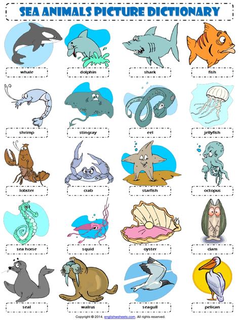 Sea Animals Esl Picture Dictionary Worksheet 1 Marine Mammals