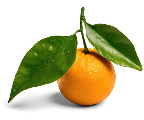 Orange Fruit With Leaves Transparent Background 22787338 Png