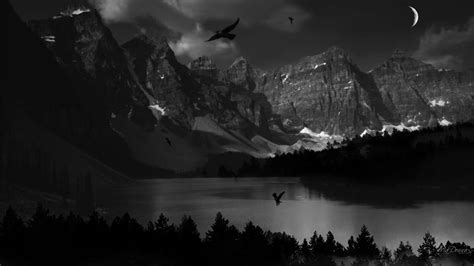 Download Dark Nature Black Background Hd Wallpaper Best Collection