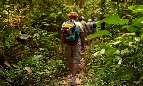 St Kitts Rainforest Hike St Kitts Shore Excursions West Indies Cruise Tours