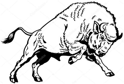 Art Buffalo Bison Drawing Sketch Coloring Page