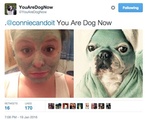 You Are Dog Now Will Match You With Your Doggy Doppelganger 16 Pics