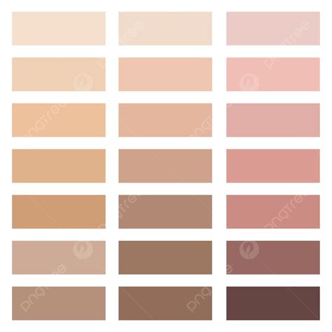 Skin Color Palette Tone Chart Beige Tones Whitening Png And Vector