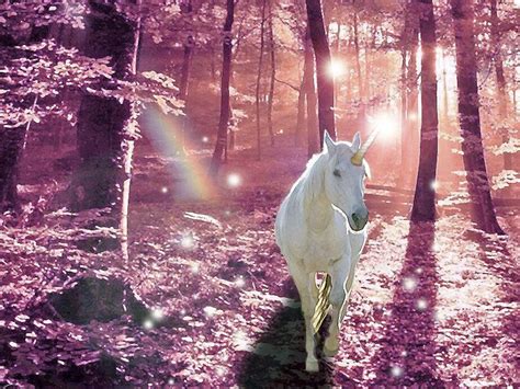 Magical Forest Unicorn