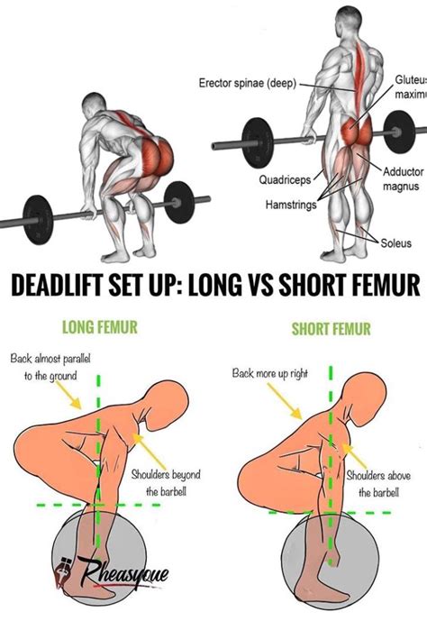 3 Deadlift Warm Up Exercises