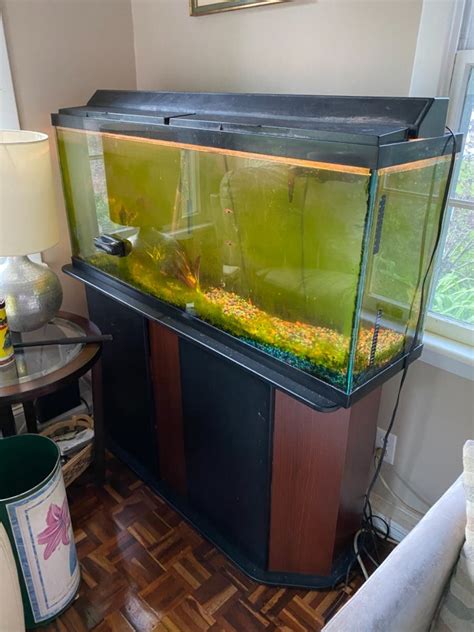 50 Gallon Fish Tank Aquariumia