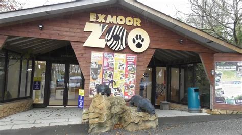Exmoor Zoo November 2019 Youtube