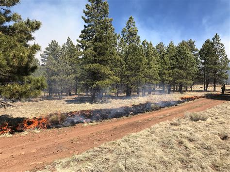 Coconino National Forest Prescribed Burns On Hold Williams Grand